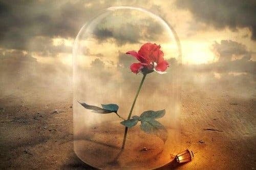 120729930_3183588248406428_5662366114314728972_n