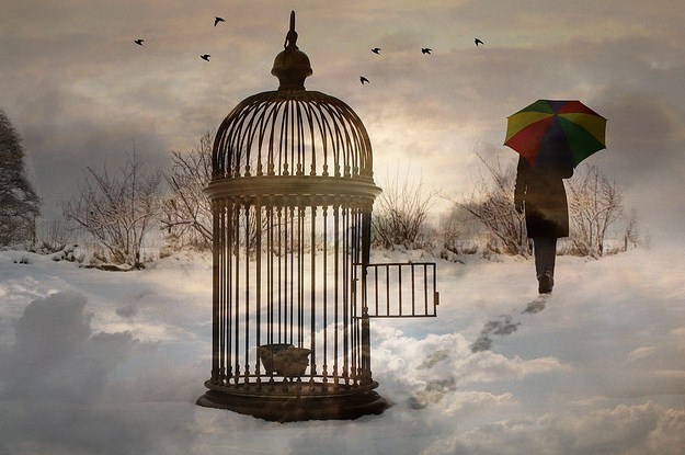 143058827_170702964832122_3300270024224385441_n