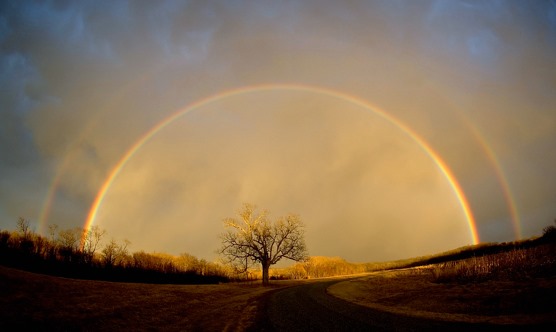 87302109_2621339894631269_2803313858335211520_n