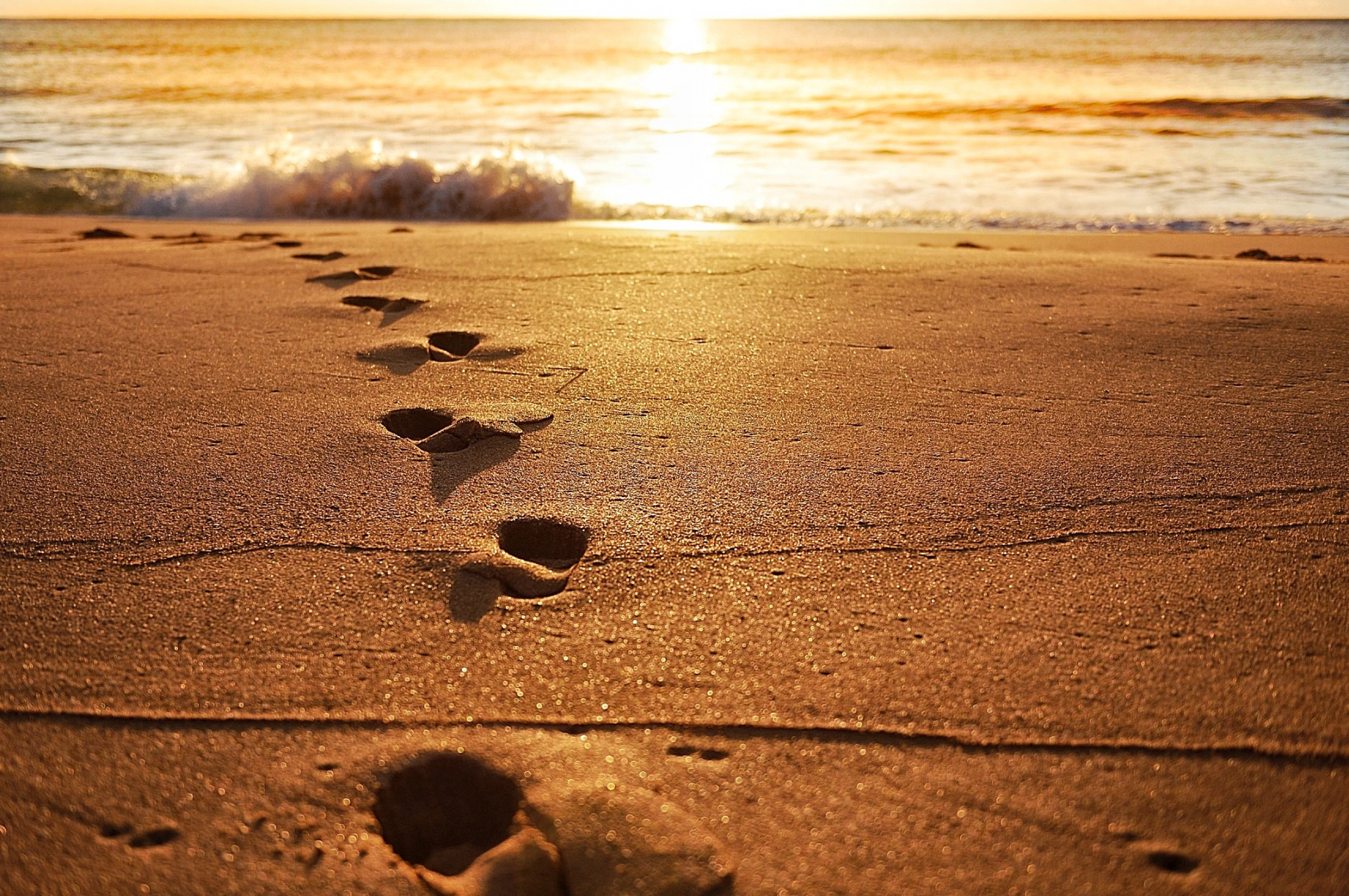 89155bfb-d57e-4fe1-b7d5-7ab250a6be37