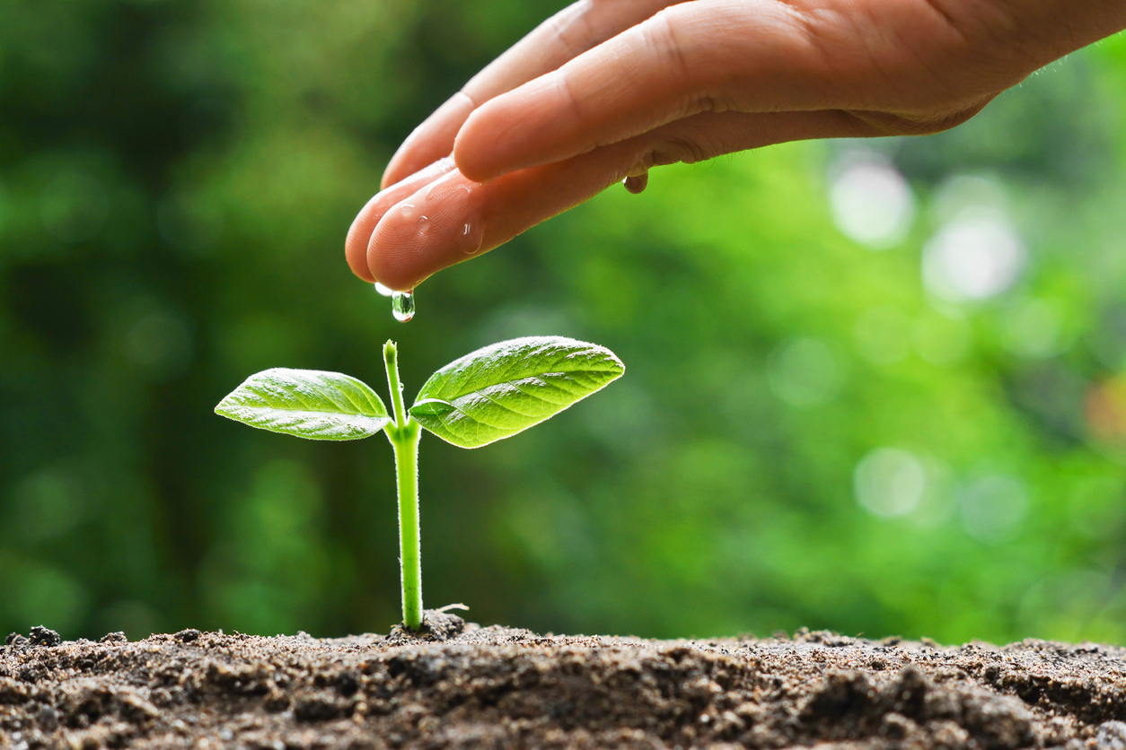 在心靈播下種籽